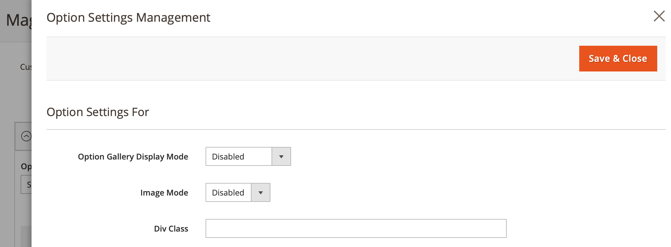 Mageworx Option CSS