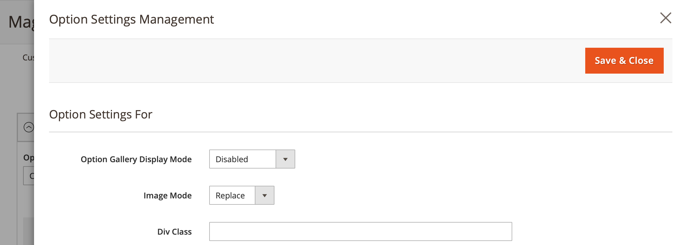 Mageworx Option Template Images