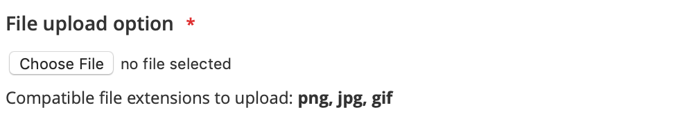 Mageworx Option Types