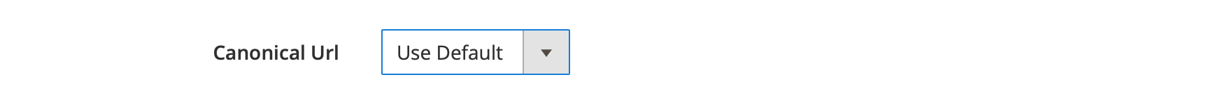 SEO Category